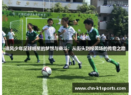 追风少年足球明星的梦想与奋斗:从街头到绿茵场的传奇之路 追风少年足球明星的梦想与奋斗:从街头到绿茵场的传奇之路