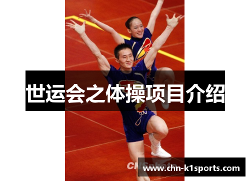 世运会之体操项目介绍 世运会之体操项目介绍