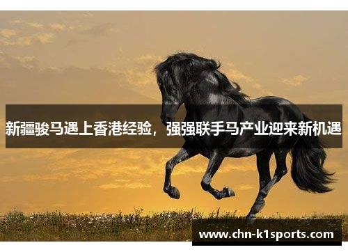 新疆骏马遇上香港经验,强强联手马产业迎来新机遇 新疆骏马遇上香港经验,强强联手马产业迎来新机遇